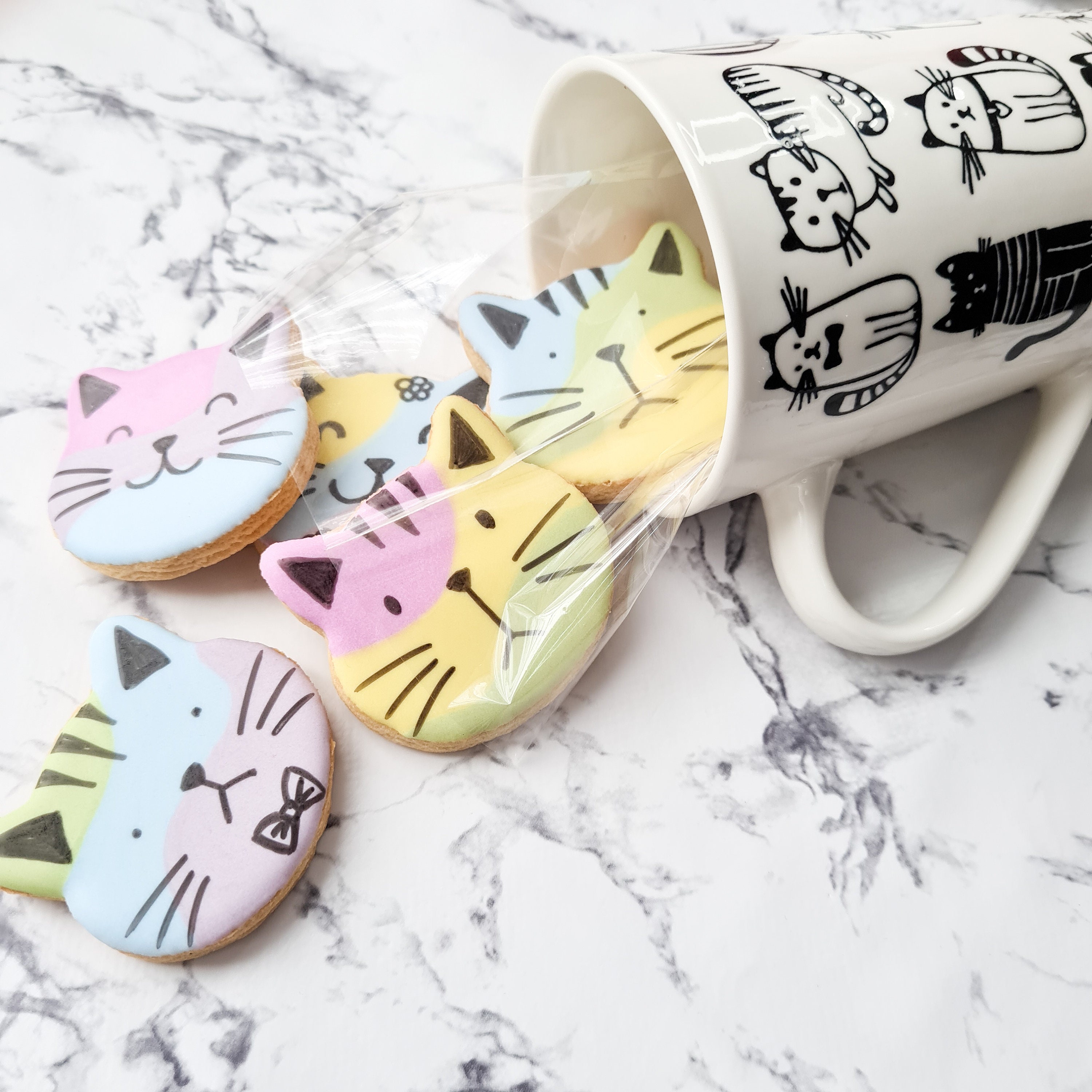 Cat Lover Cookies and Mug Gift Set