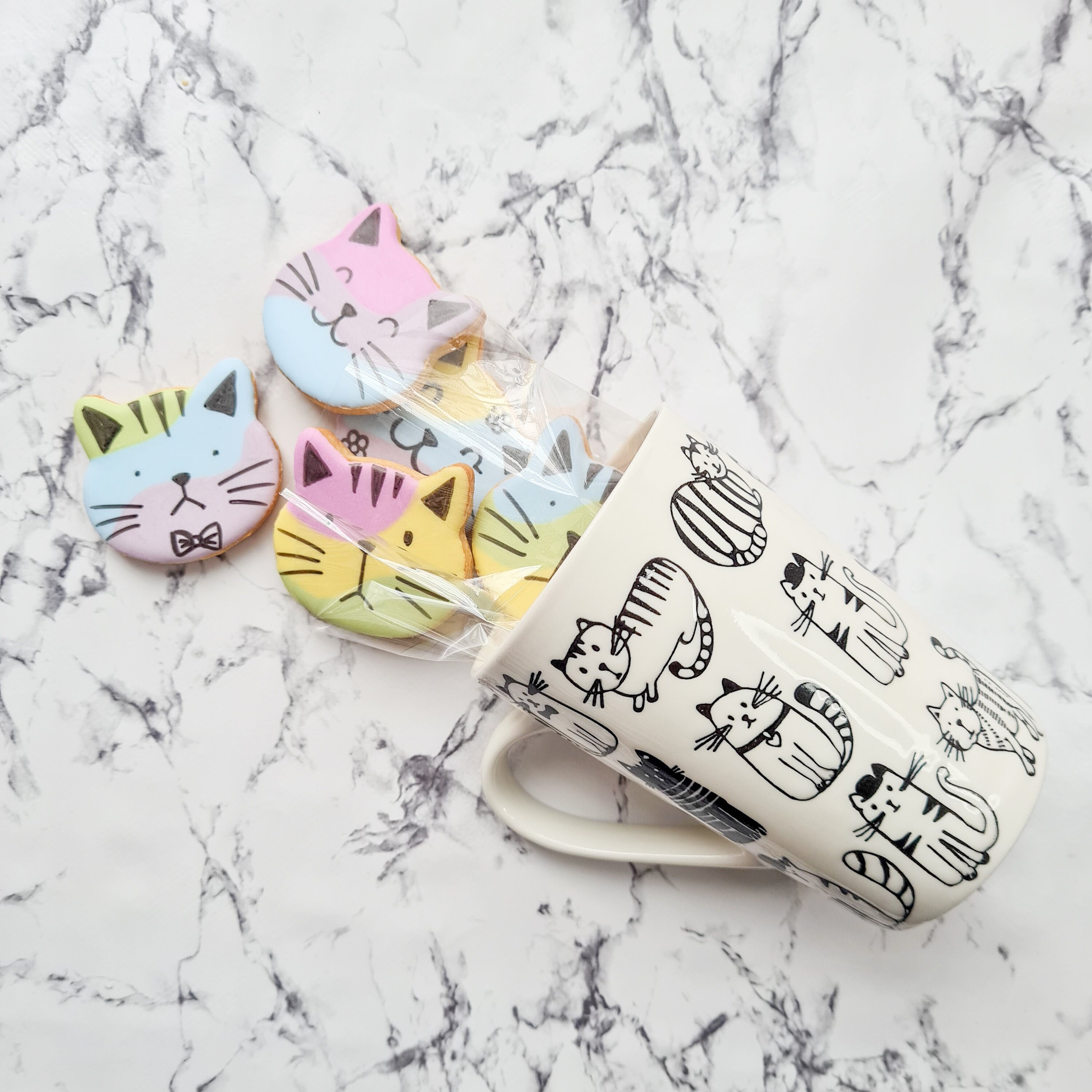 Cat Lover Biscuits and Mug Gift Set